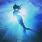 grapefruit352